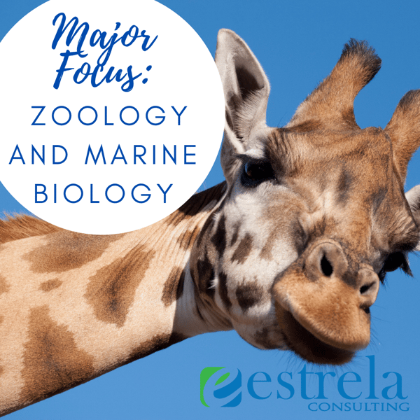 Major Focus Zoology and Marine Biology